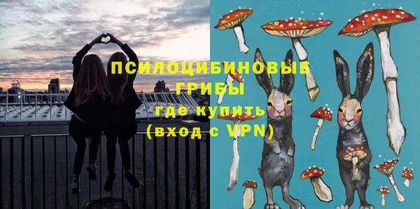 тгк Абинск