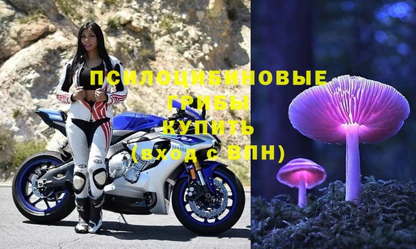 тгк Абинск