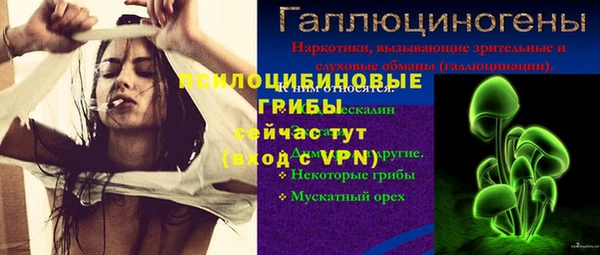тгк Абинск