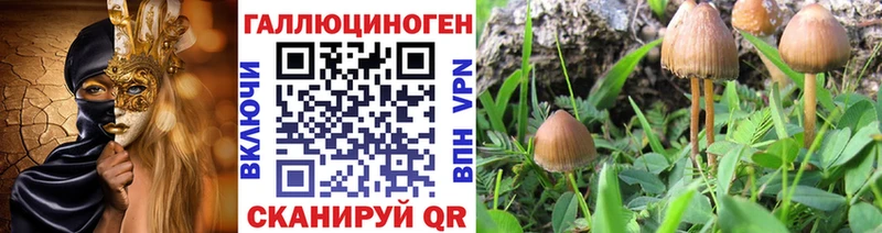 нарко площадка состав  Комсомольск-на-Амуре  Галлюциногенные грибы Psilocybe 